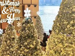 -海港城