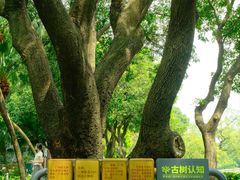 -荔湾湖公园