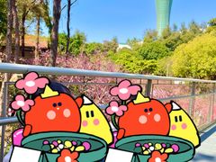 -狐尾山公园