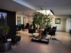 -付军剪艺JF ProSalon
