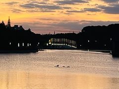 -大宁郁金香公园-停车场