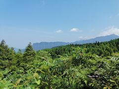-山王坪喀斯特国家生态公园