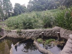 -成都市活水公园