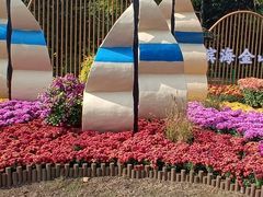 -上海共青森林公园