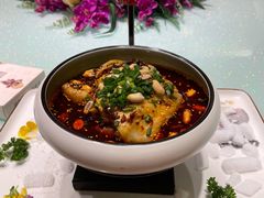 口水鸡-天福苑(崇宁路店)