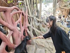 -长鹿旅游休博园