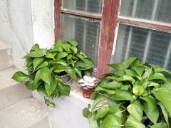 -二楼南书房