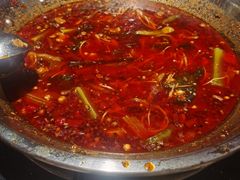 -小饕荟雅安贡椒鱼鲜馆(广福桥店)