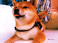 -重庆海昌加勒比海水世界