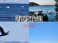 -棒棰岛宾馆景区