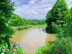 -沙县小吃文化城