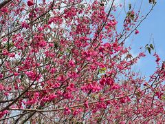 -福清灵石山国家森林公园
