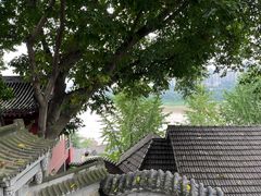 -磁器口古镇