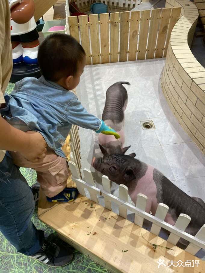 宠物乐园增长知识点[吐]