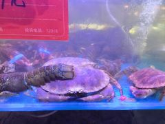 -四海蒸鲜蒸汽海鲜自助(北戴河店)