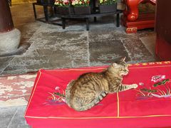 -龙华素斋(龙华路店)