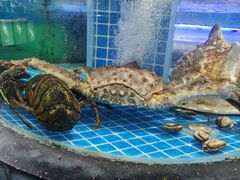 -海旺小海鲜大排档(冠亚星城店)