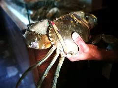 -Ministry of Crab(科伦坡店)