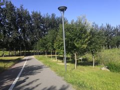 -马家湾湿地公园