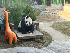 -南昌动物园