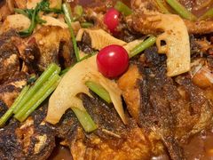 -老板恋上鱼(恒隆广场店)