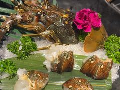 -打酱友•斑鱼海鲜粥火锅(吴桥店)