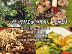 -西双版纳原始森林公园