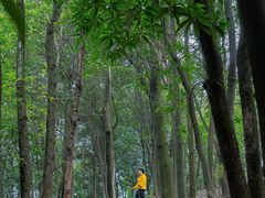 -南山植物园