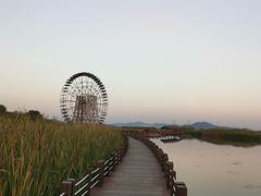 -苏州太湖湖滨国家湿地公园