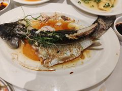 -稻香酒家·35年老字号(侨光店)