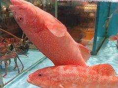 -阿伟海鲜楼·福建菜(延寿店)