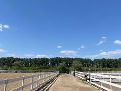 -月河湾马术俱乐部(朝阳店)