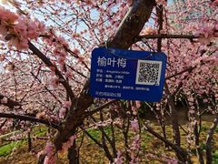 -马栏河运动公园
