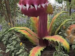 -沈阳植物园
