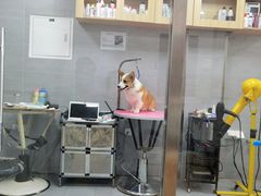 -宠福鑫康馨动物医院·骨科·眼科