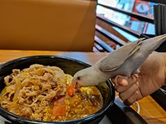 芝士牛肉咖喱-食其家·牛丼咖喱(A世界店)