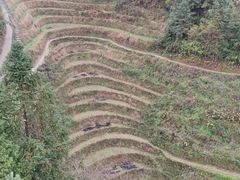 -龙脊梯田