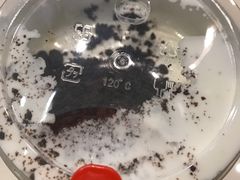 -华豫川酒家(大卫城店)