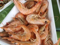 -沿海渔家院蒸汽海鲜·东北菜(东戴河店)