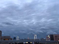 -台场海滨公园船码头