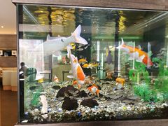 -大家乐(东莞虎门店)