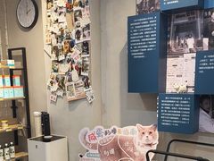-伟伟宠物医院·CT影像中心·瑞派犬猫综合性门诊(汉口总院)