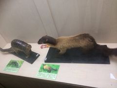 iphone_upload_pic-下渚湖国家湿地公园科普馆