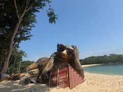 -巴拉湾海滩