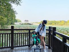 -东湖落雁景区