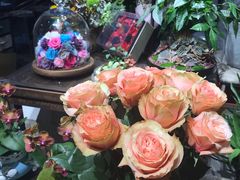 -弗劳尔花艺坊(龙涛店)