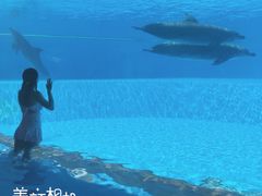 -横琴湾水世界