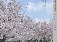 -龙美术馆(西岸馆)