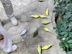 -世界地热博览园