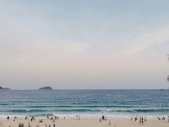 -双季花艺园艺市场(浦东店)